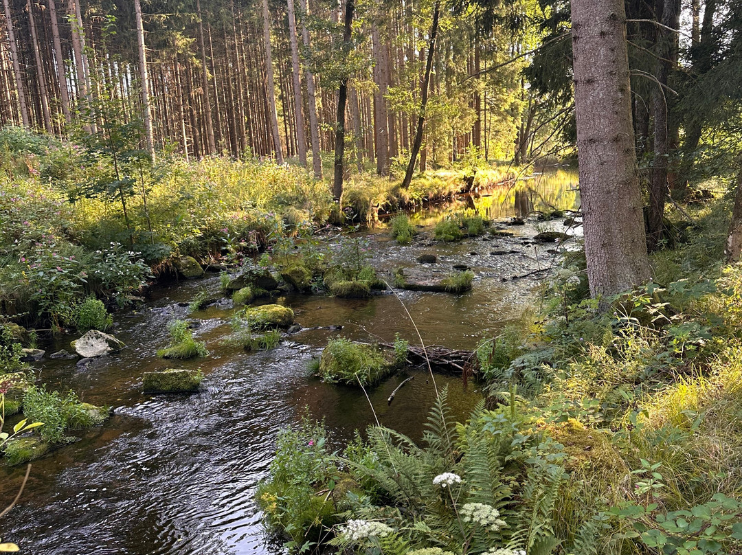 Forstgut