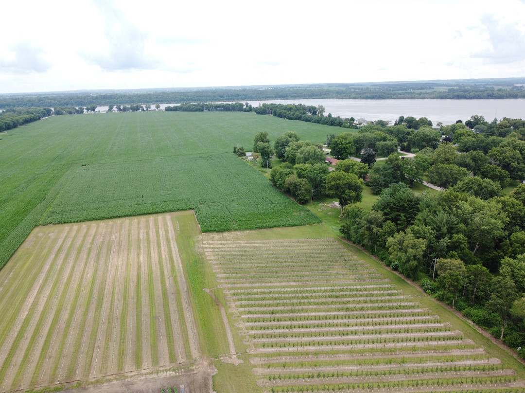 Selmi's Greenhouse and Family Farm-Rock Falls必去景点
