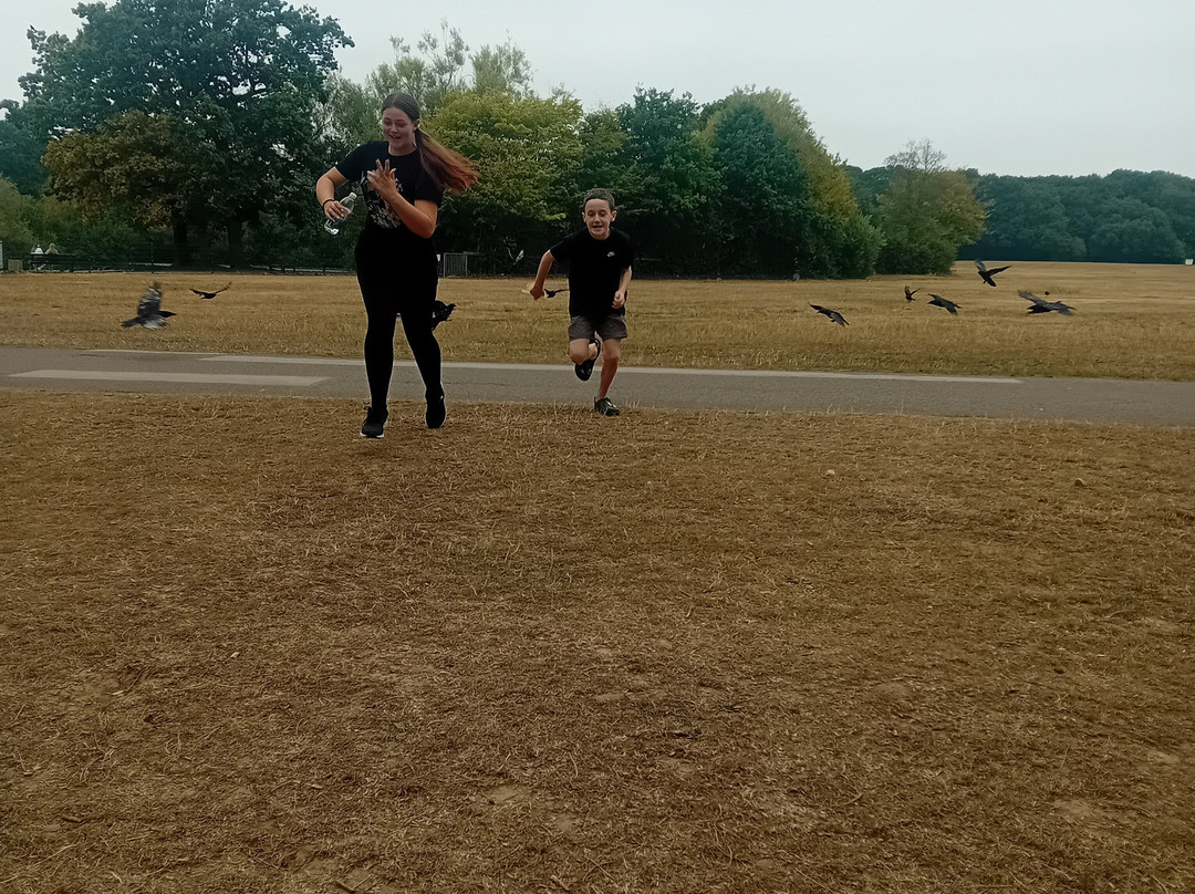 Southampton Common-南安普敦必去景点
