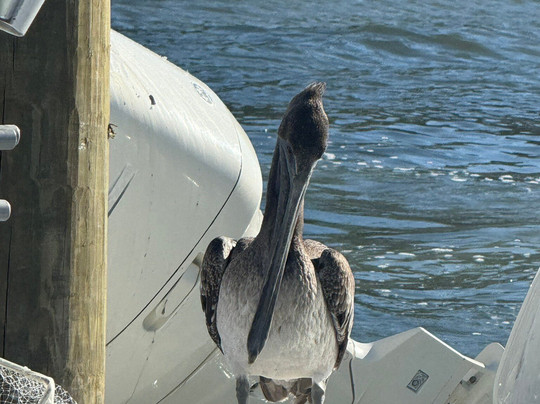 Love Street Outdoor Center-朱庇特必去景点