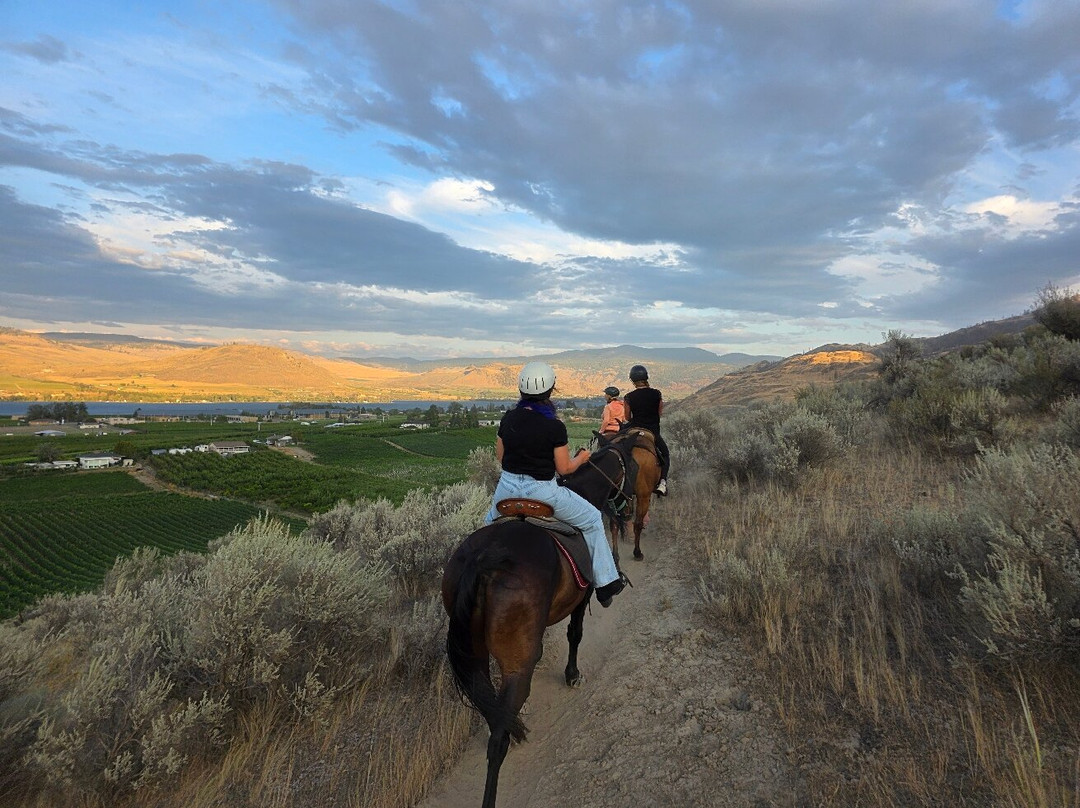 Sun Hills Riding Centre-奥索尤斯必去景点