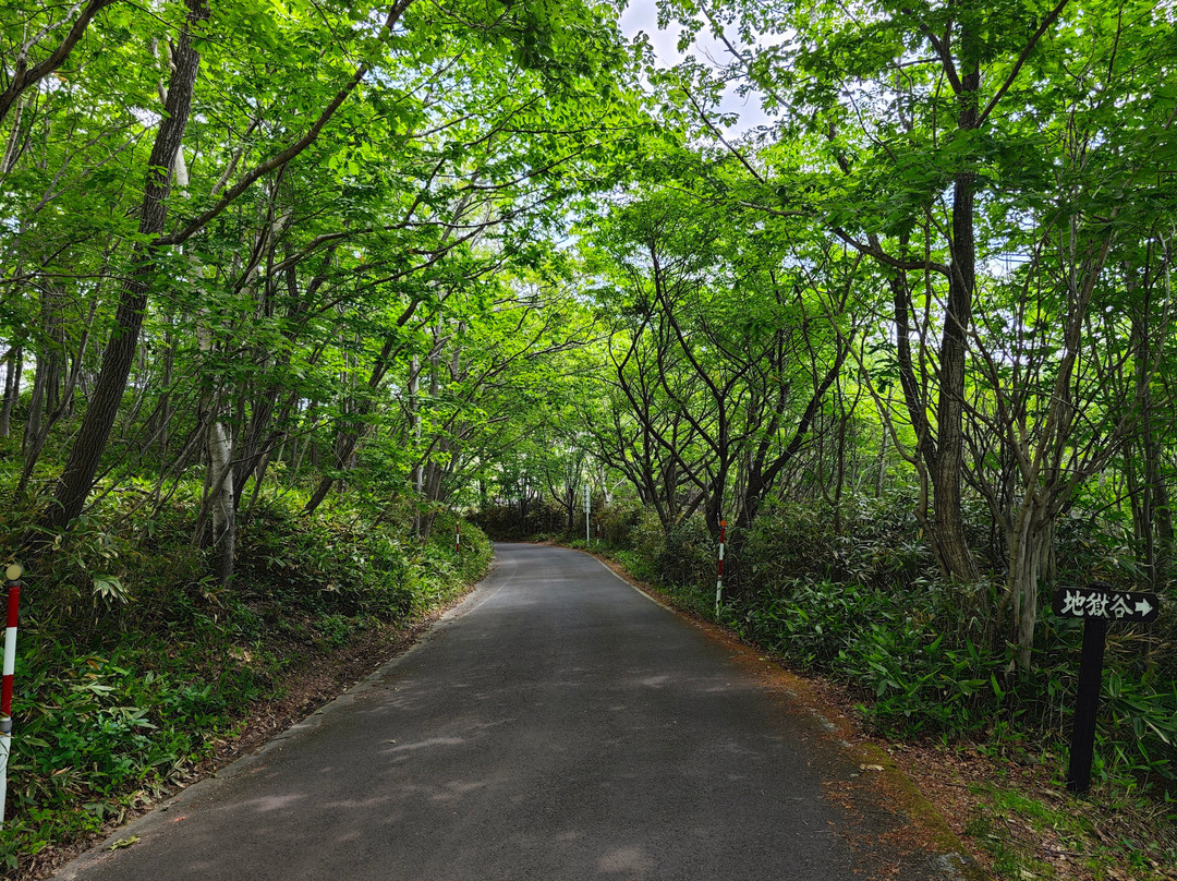 Oyunuma Observatory Promenade-登别市必去景点