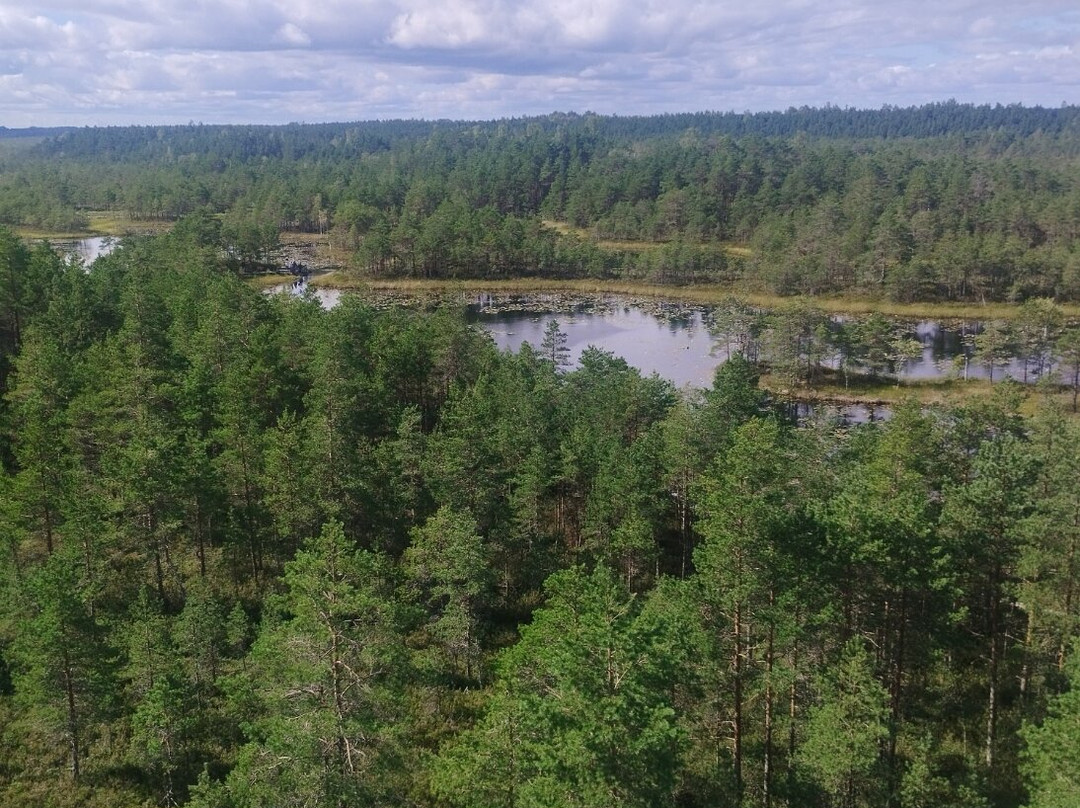 Mukri Bog-Kehtna必去景点
