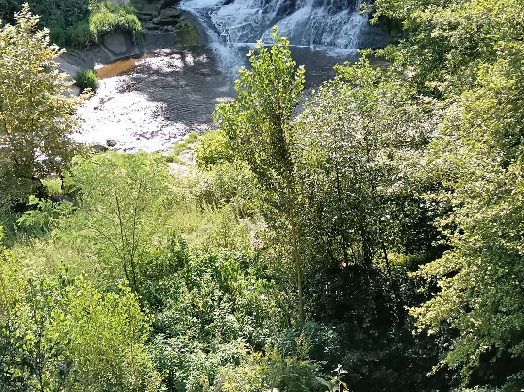 Salt del Moli Fondo-Sant Joan les Fonts必去景点