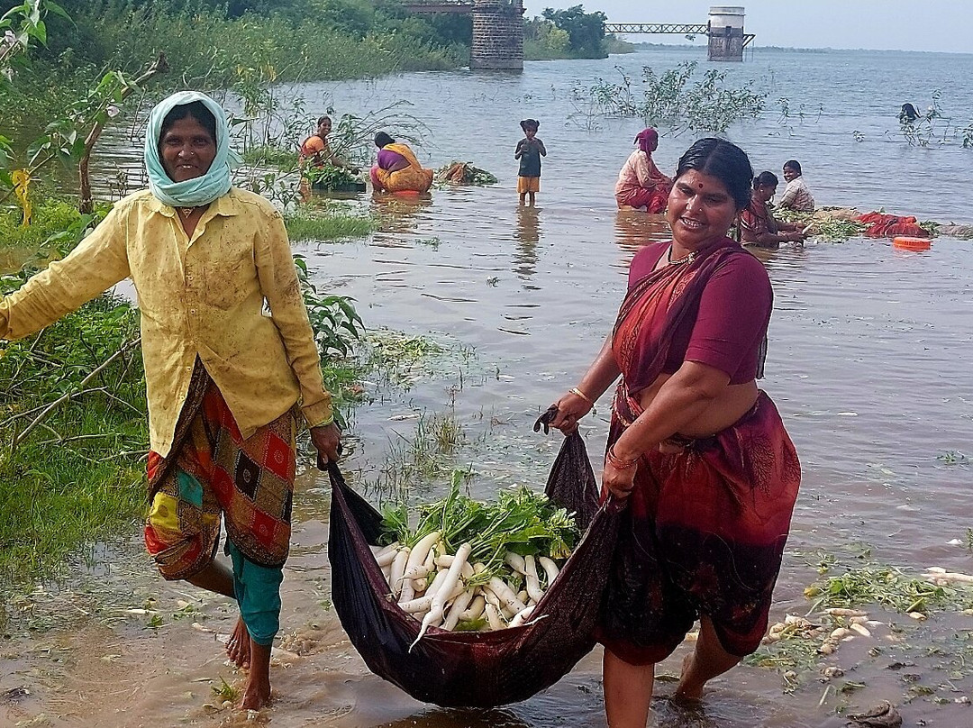 Suryatrips-Vizhinjam必去景点