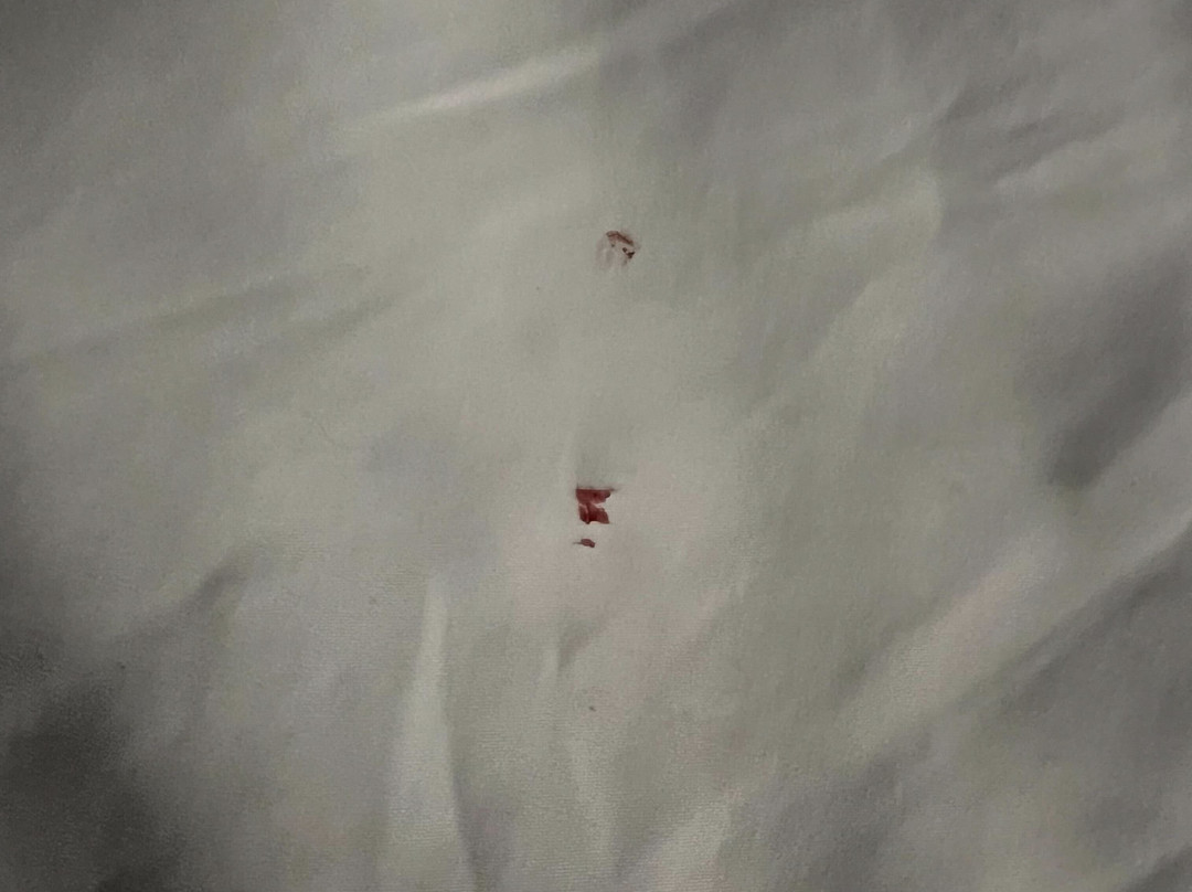 Hyatt Centric Old Town Alexandria主图