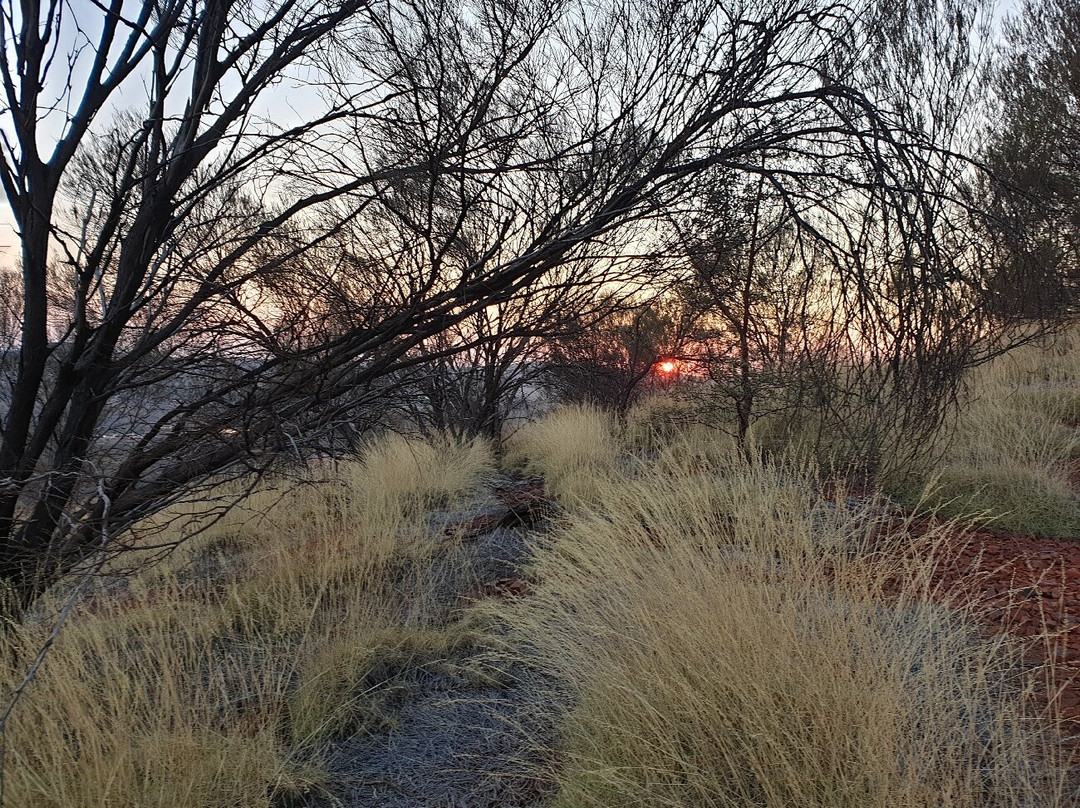 Mount Nameless-Tom Price必去景点