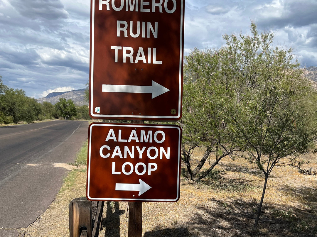 Catalina State Park-图森必去景点