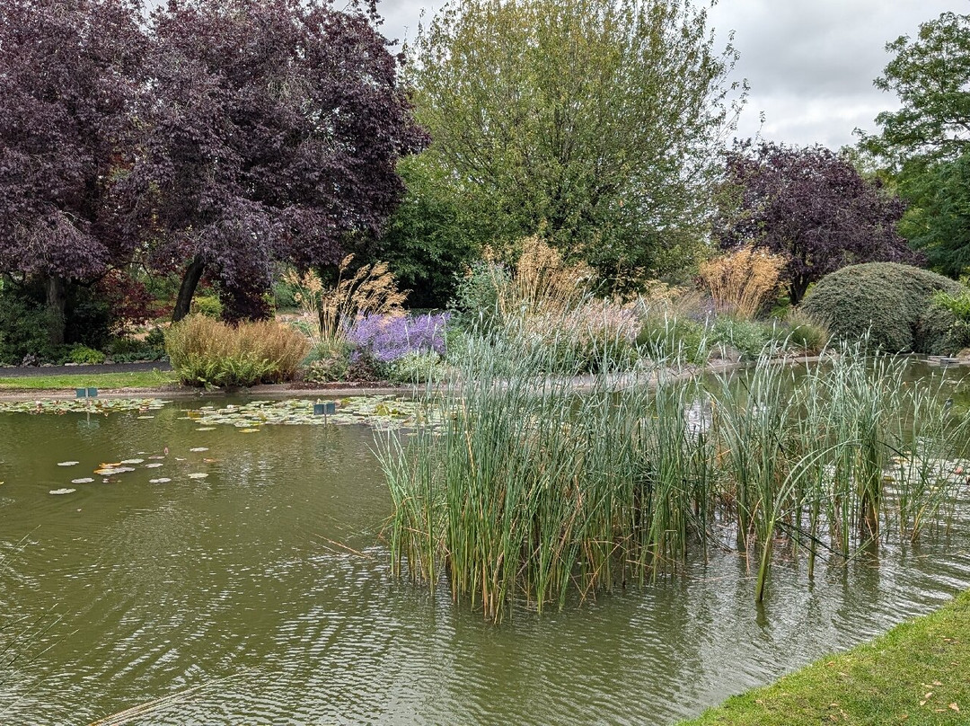 Burnby Hall Gardens and Museum-Pocklington必去景点