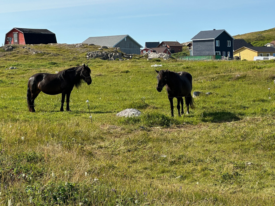 Eléa Guided Tours-Saint-Pierre必去景点