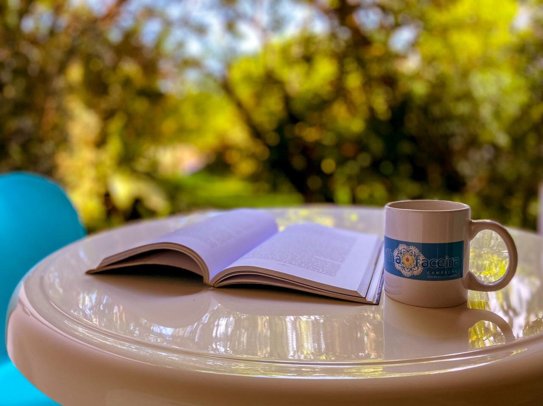 Pousada Ilha Faceira主图