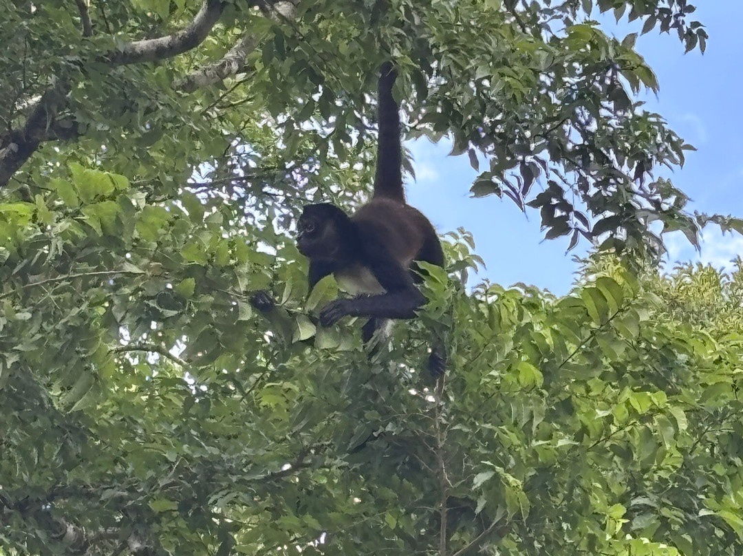 DANTA TOURS-Xpujil Town必去景点