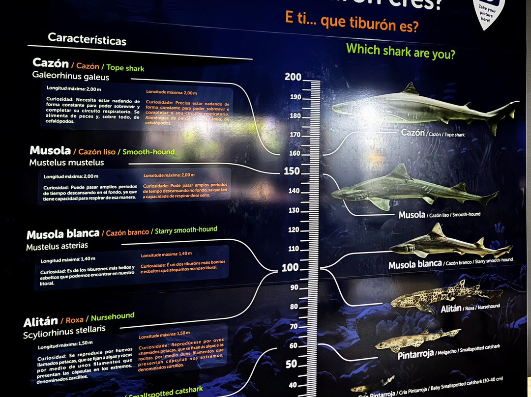 Acuario Do Grove-格罗韦必去景点