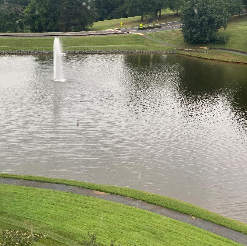 夏洛茨维尔希尔顿花园旅馆主图