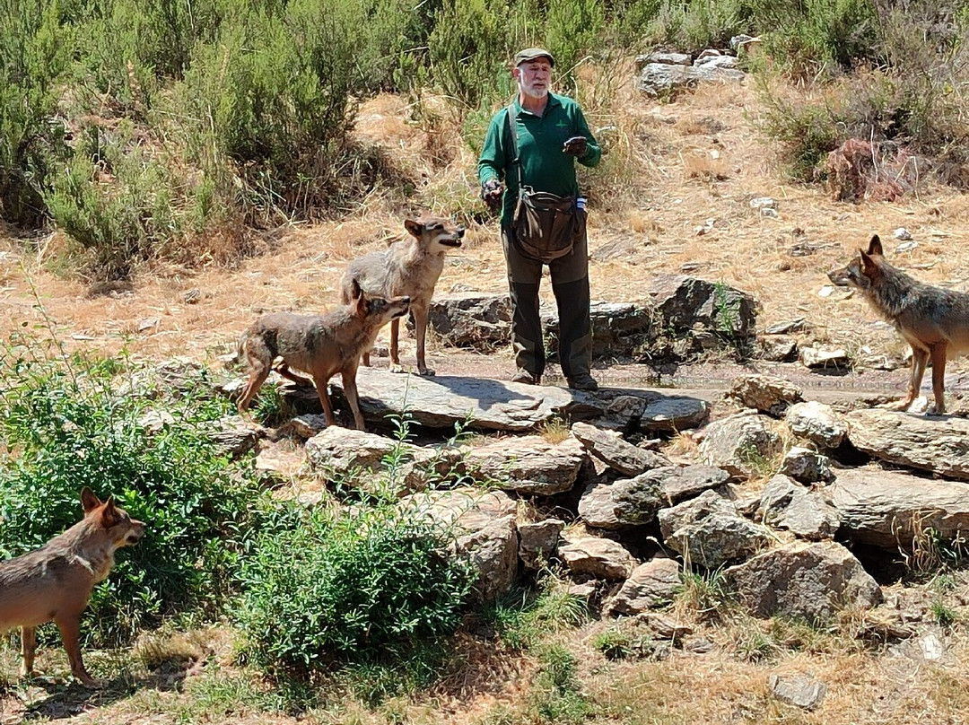 Centro del Lobo Iberico-Puebla de Sanabria必去景点