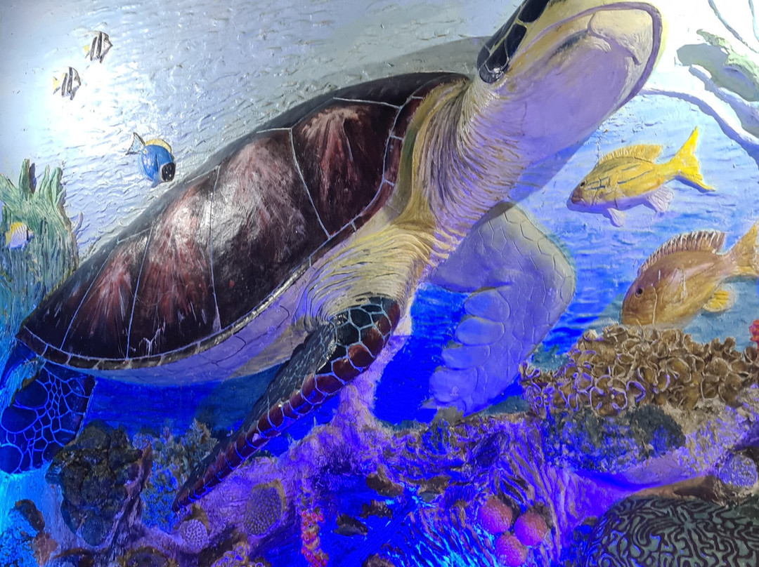 Turtle Watch Rekawa-唐卡拉必去景点