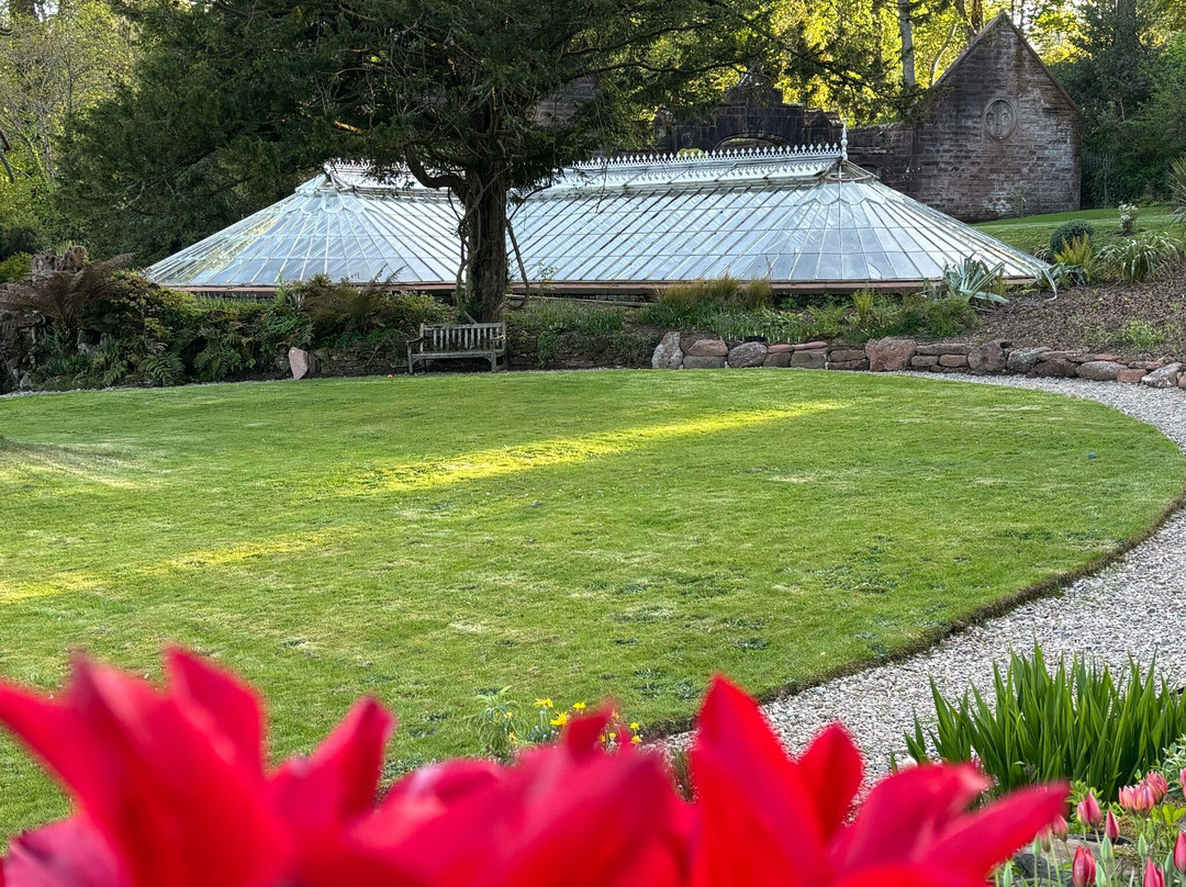 Ascog Hall Fernery and Garden-Ascog必去景点