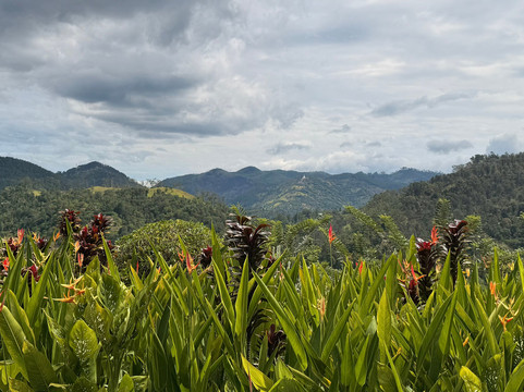 Teardrop Journeys-Rajagiriya必去景点