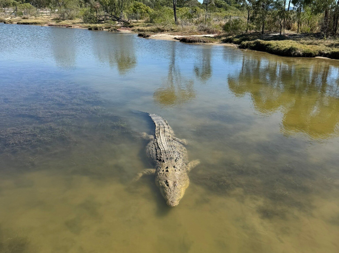 Koorana Crocodile Farm-Coowonga必去景点