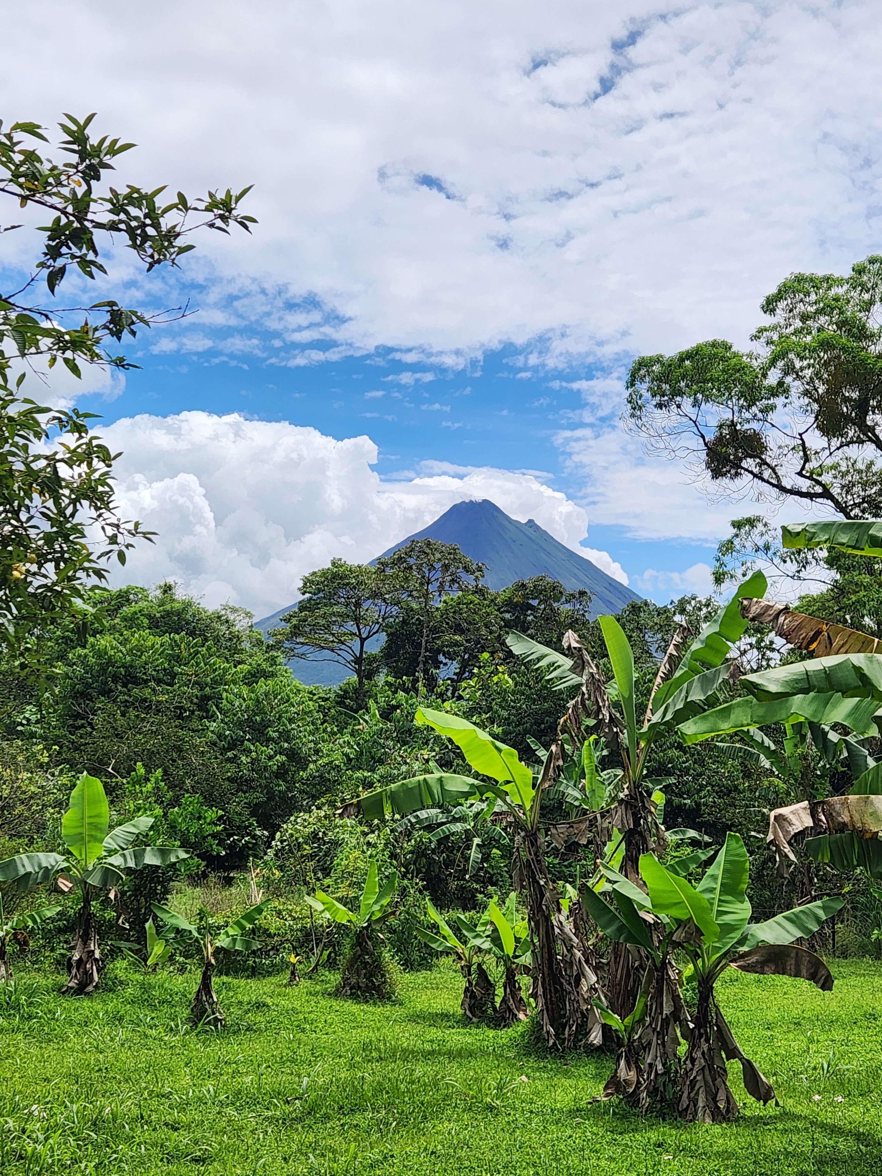 Essence Arenal Hotel, Biofarm & Spa-浴室