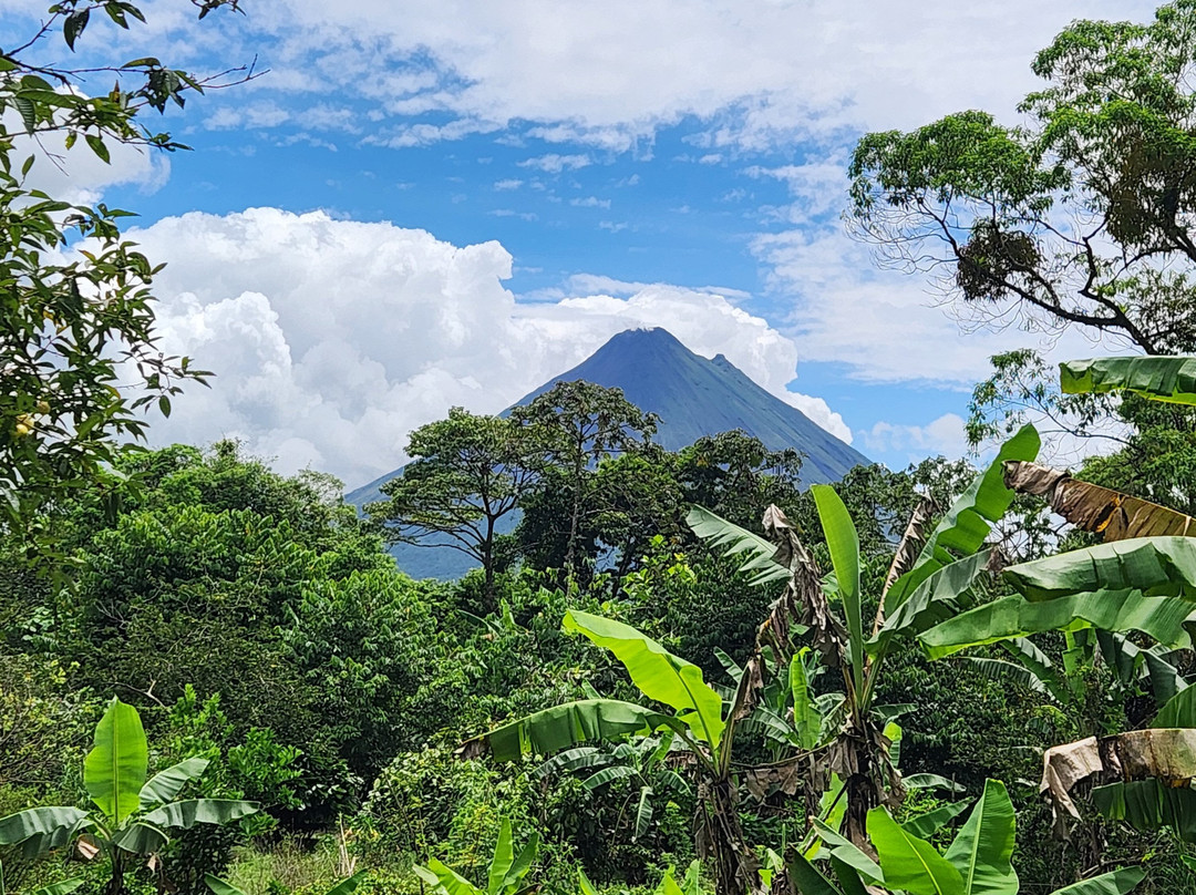 Essence Arenal Hotel, Biofarm & Spa主图