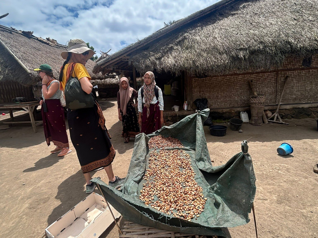 Rinjani Women Adventure-Senaru必去景点