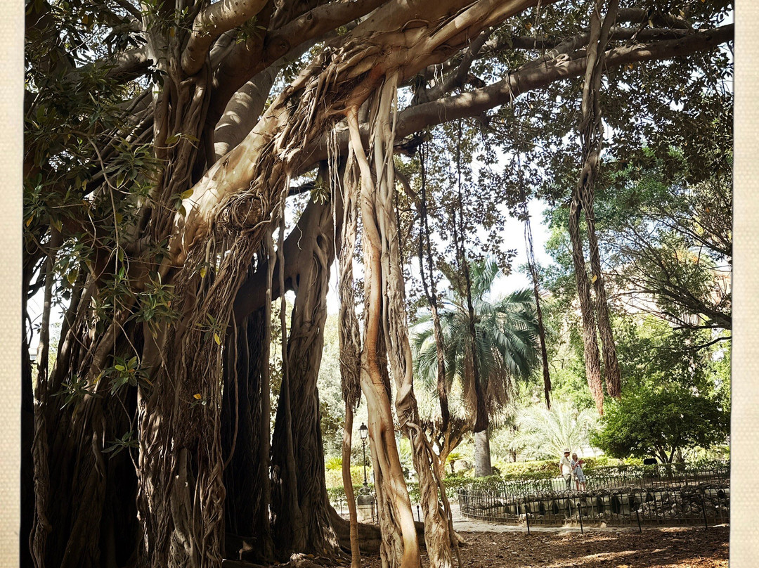 Giardino Garibaldi-巴勒莫必去景点