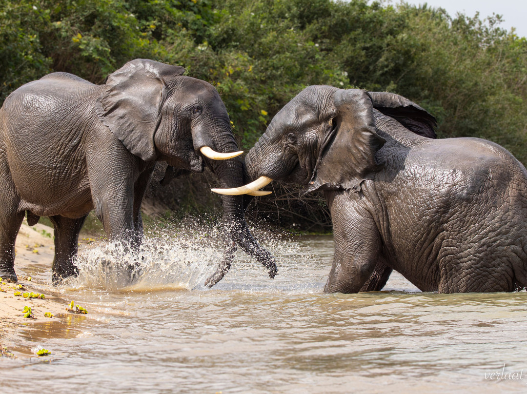 Travel with Deo-Mloka必去景点