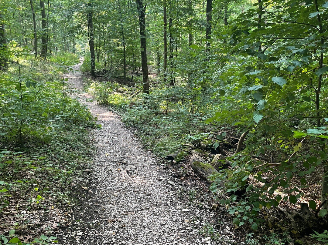 Burg Hohenneuffen-Neuffen必去景点