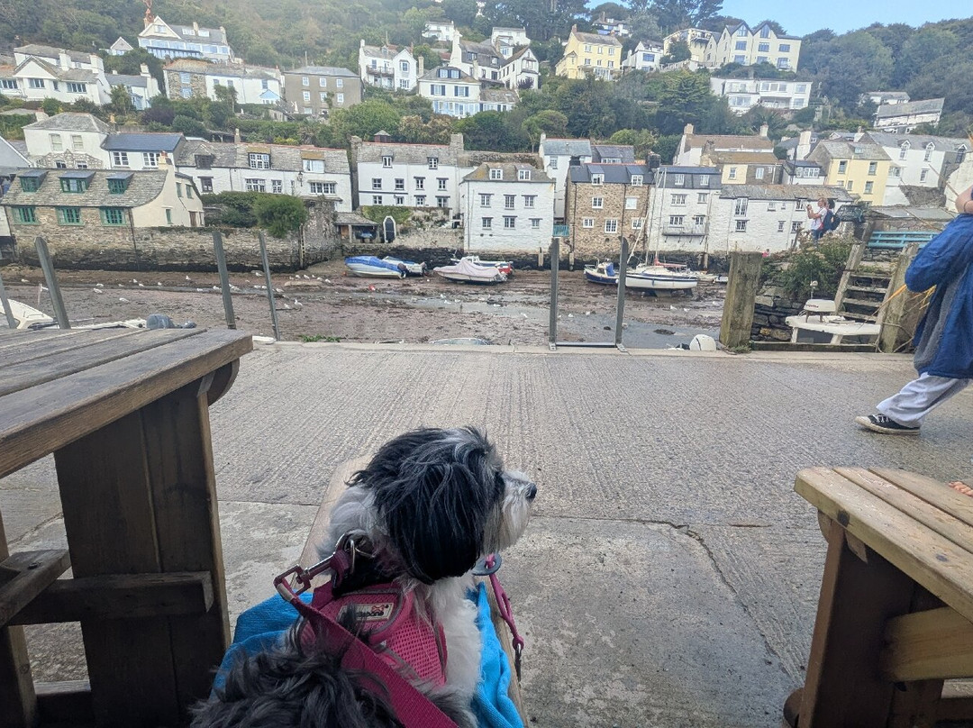 Polperro Harbour and Headlands Walk-Polperro必去景点