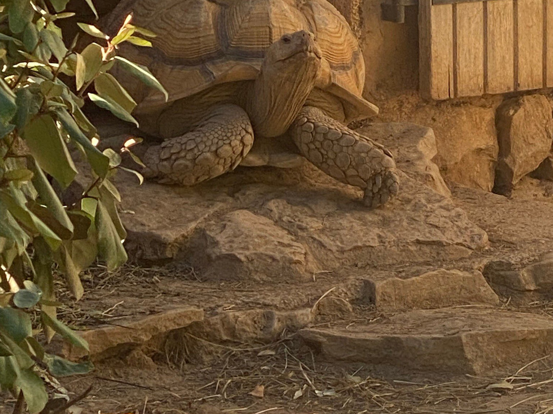 Zoa Parc Animalier et Botanique-滨海萨纳里必去景点