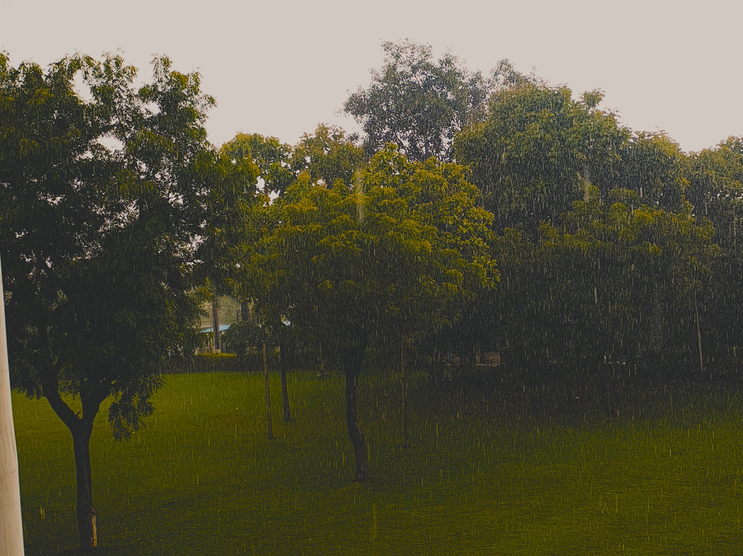 The Elegance by AKJ Resort主图