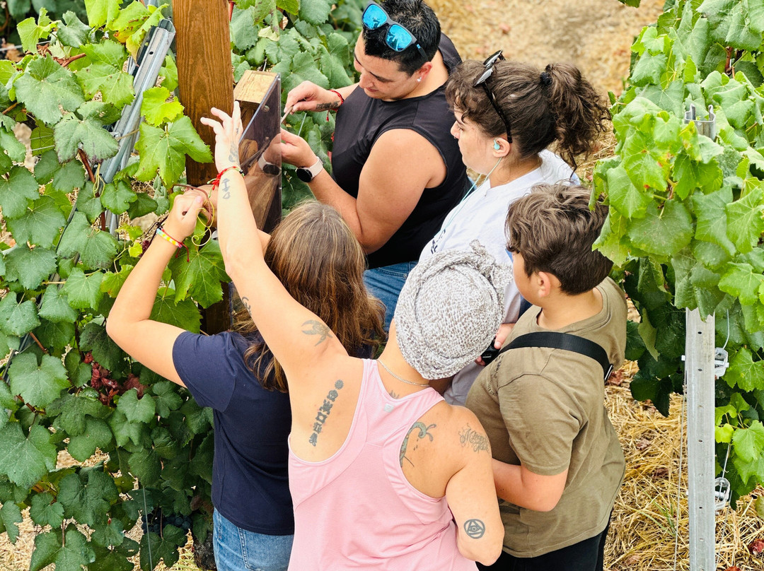 El Secreto Del Monje-Panton必去景点