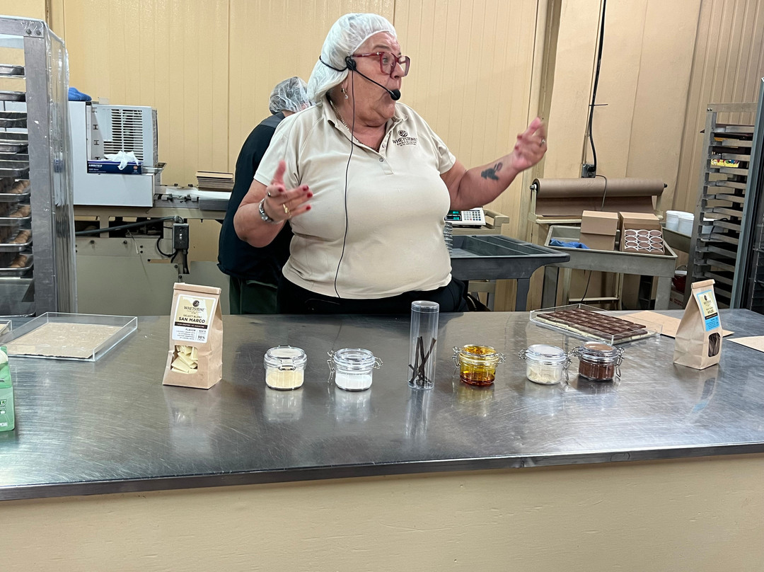 Whetstone Chocolates Tasting Tour-圣奥古斯丁必去景点