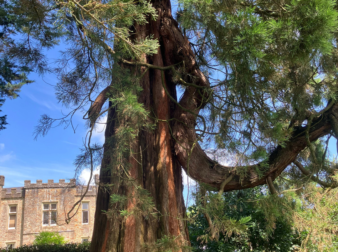 Clyne Gardens-斯温西必去景点
