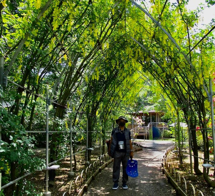 Ashikaga Flower Park-足利市必去景点