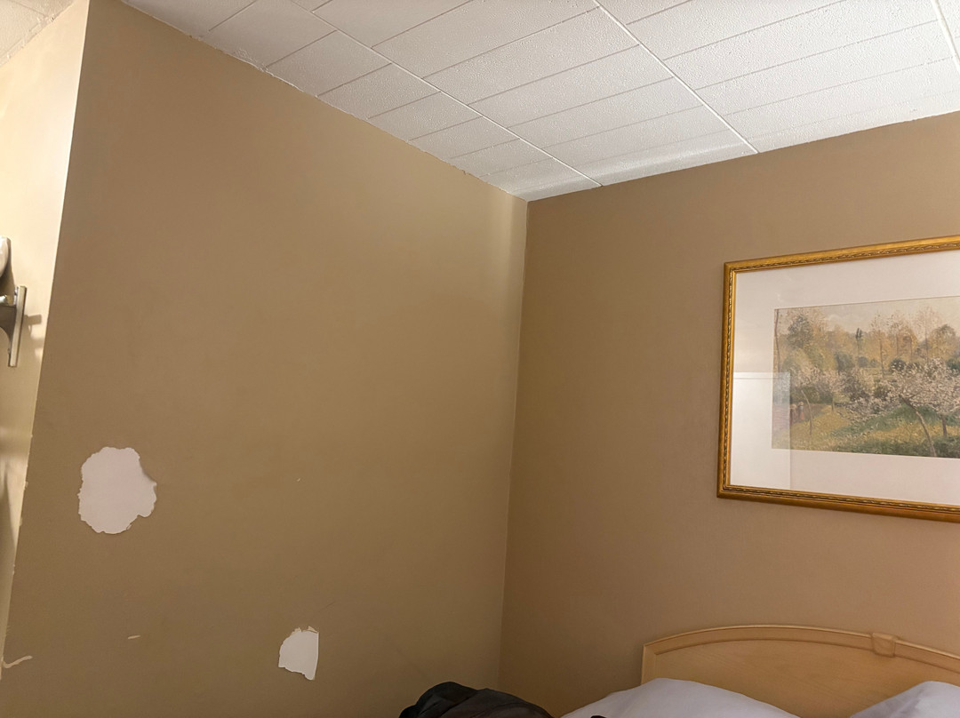 Travelodge Cambridge - Waterloo主图