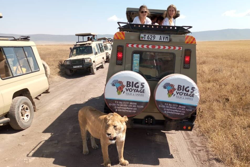 5 Days Amazing migration safari