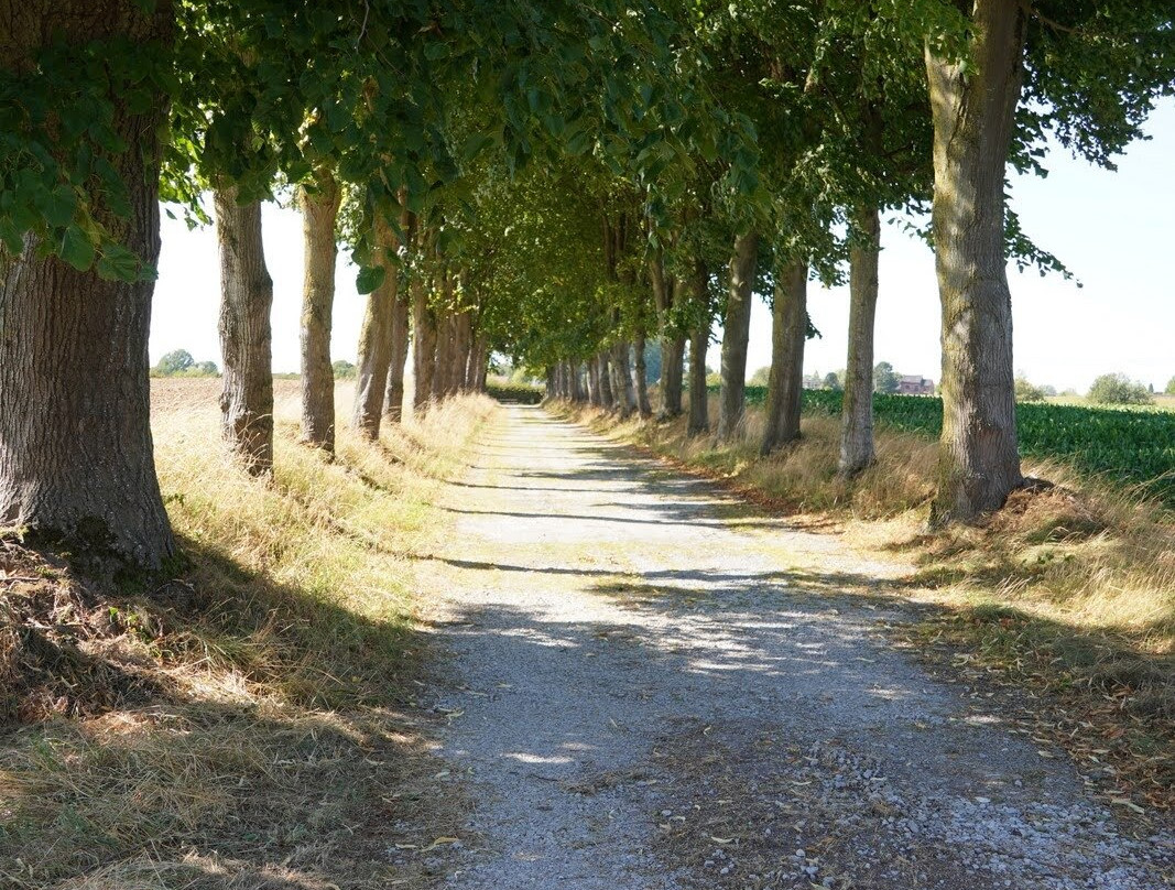 Chateau de Fernelmont-Noville必去景点