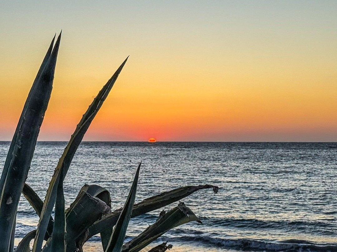 Mealos Apartments主图