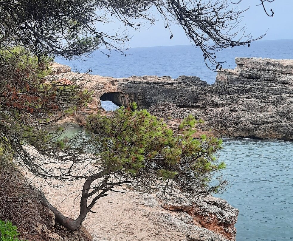 Cala s'Almunia-桑塔尼必去景点