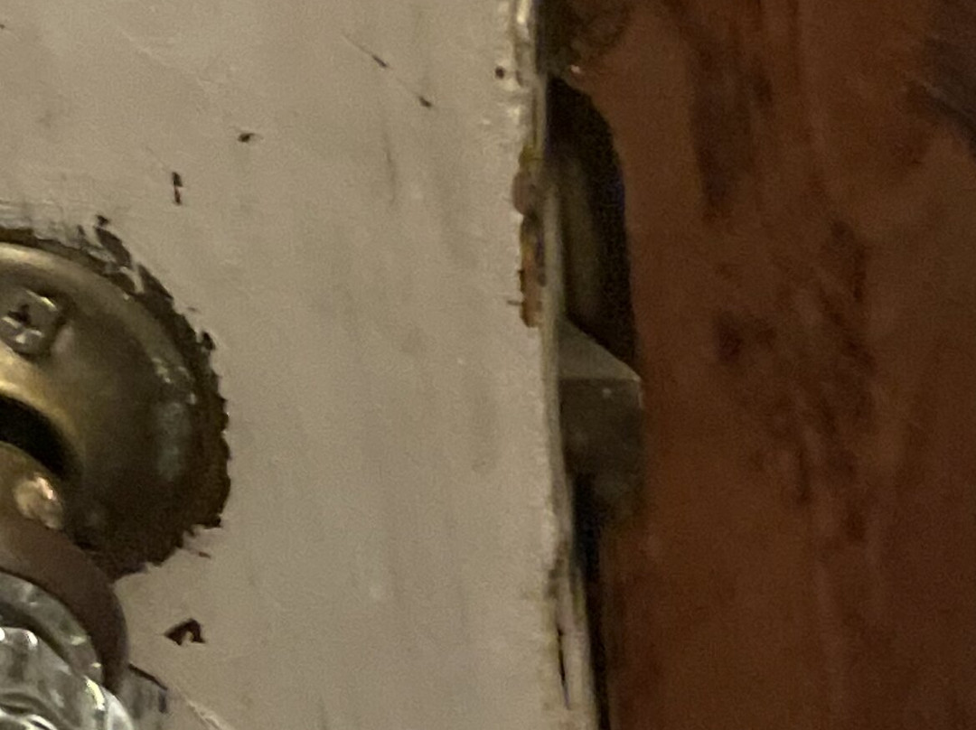 Race Brook Lodge主图