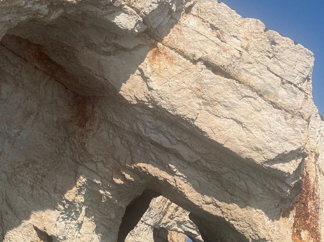 Zante Vipboats-阿雷克斯必去景点