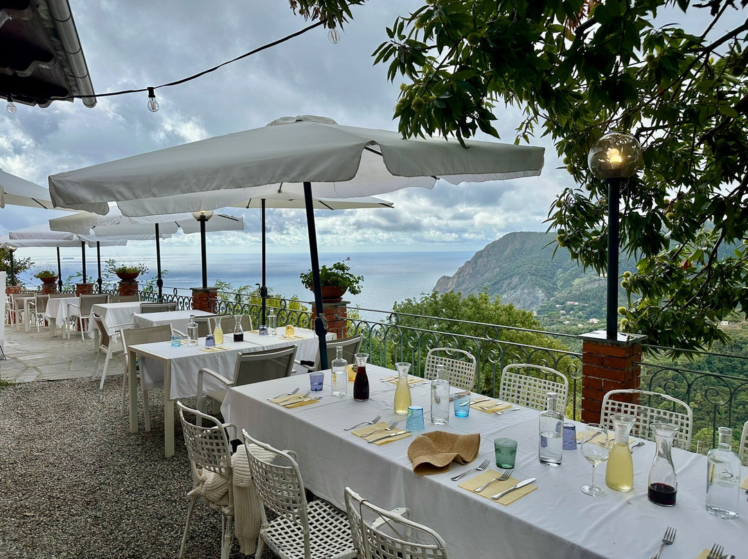 Cinque Terre Cooking School-滨海蒙特罗梭必去景点