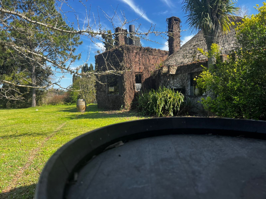 Bodega Spinoglio-蒙得维的亚必去景点