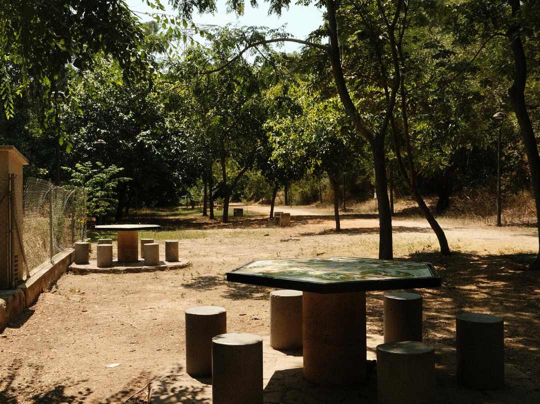 Ruta Botanica-Villarreal必去景点