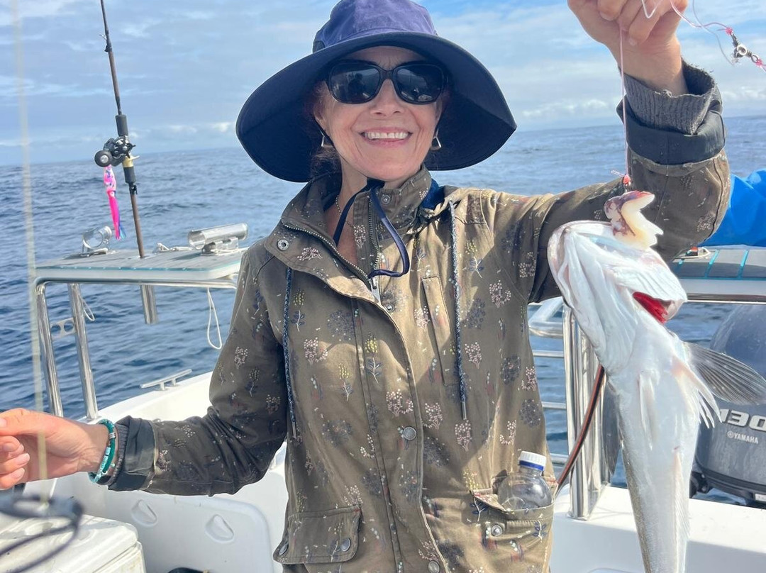 Delarey Charters-圣法兰西斯港必去景点