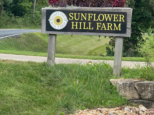 Sunflower Hill Farm-Augusta必去景点