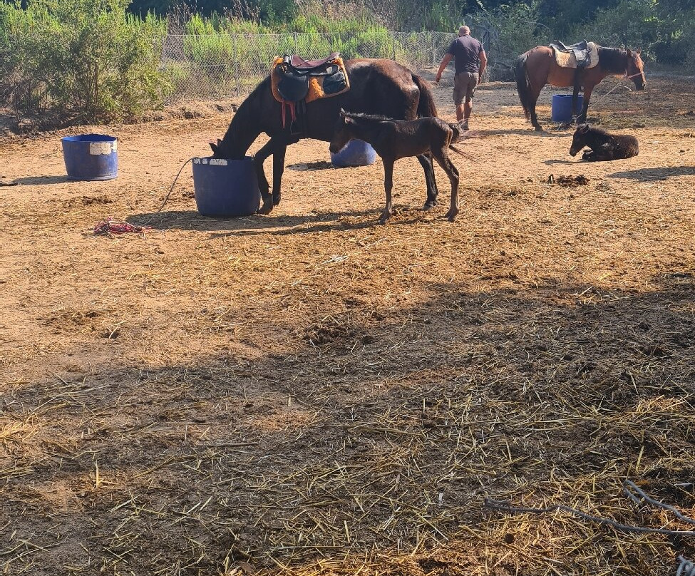 Hamish McTurk-Tours-费特希耶必去景点