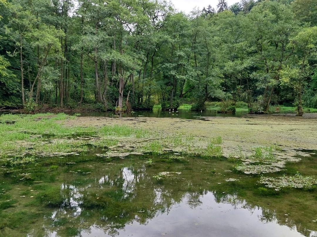 Almequellen-Brilon必去景点